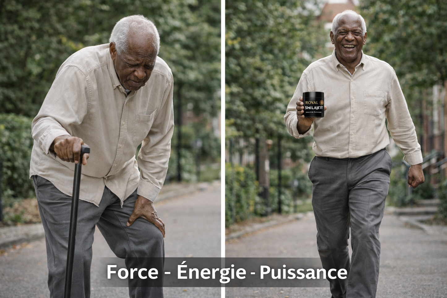 Retrouvez votre énergie naturelle avec Royal Shilajit