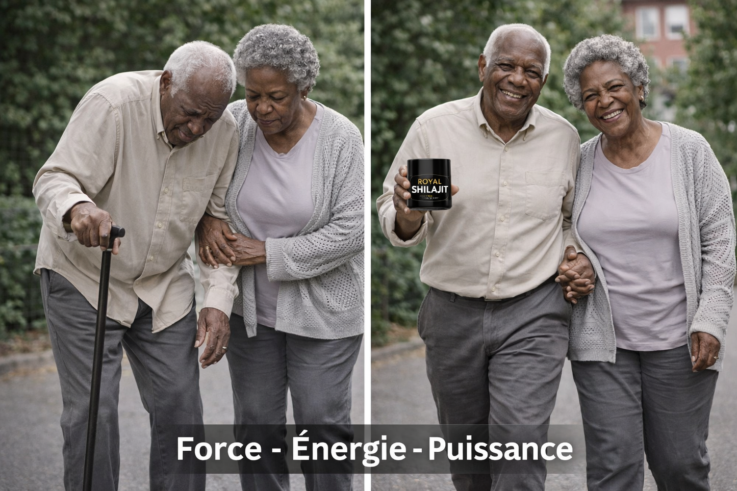 Retrouvez votre énergie naturelle avec Royal Shilajit